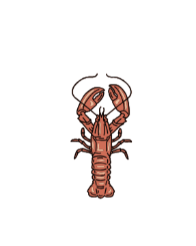 Stonington Lobster